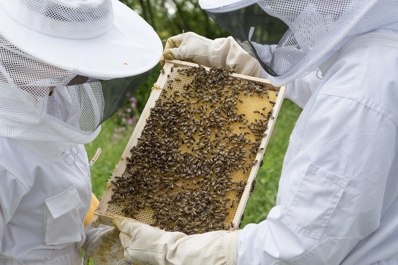 History_of_Beekeeping